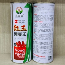 红玉架豆王豆角种子早熟速生长无纤维品质优无筋四季豆高产大