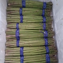 精品绿芦笋白芦笋电商一件代发对接各个平台