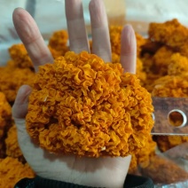 金耳菌干品，质量保证，品相好，量多优惠