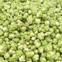 鲜榨菜2万斤左右