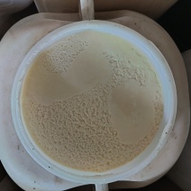 东北野生椴树雪蜜