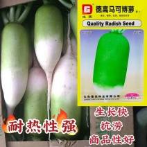 德高马可博萝萝卜种子速生耐热商品性好农家春秋季播精选蔬菜