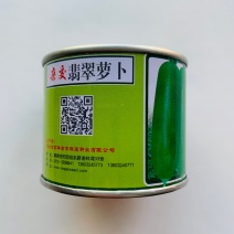 杂交翡翠萝卜种子水果萝卜种子脆甜皮薄肉绿