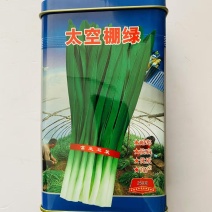 太空棚绿韭菜种子耐热耐寒性超强