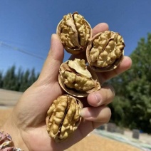 老树干核桃，质量稳定可靠，货源充足，欢迎大家加入我们