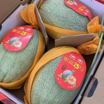 哈密瓜一件代发