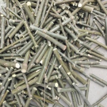 柳树种苗，柳树段