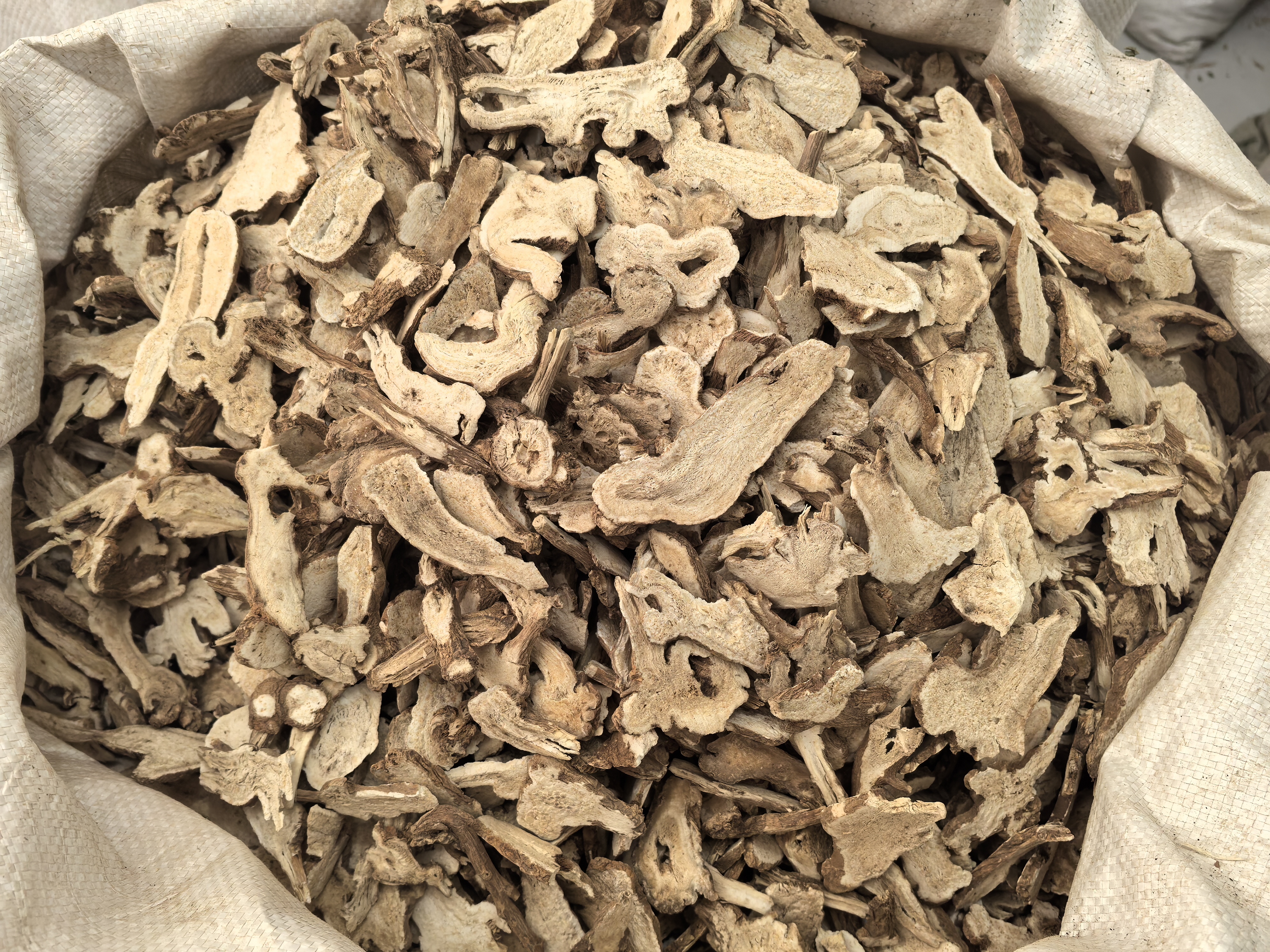 白术片与常见伪品的对比图,帮助读者识别真伪 白术片与伪品对比