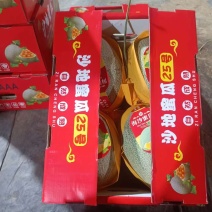 晓密二十五号货源充足，产地直发
