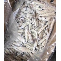 冷冻笔管鱼加州鱿鱼20斤装整箱商用小鱿鱼籽乌烧烤自助
