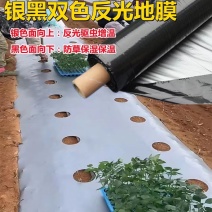 农膜地膜农用塑料薄膜定制打孔地膜银黑双色反光打孔地膜
