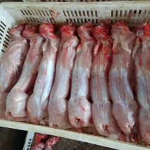 新鲜兔肉，兔肉批发，冷链运输，质量新鲜，烫皮兔，带皮肉兔