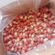 110粒龙虾尾特a现货，个头均匀，郑州仓发货，100送一