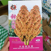 甜高梁种子甜杆种子春夏秋种植北方绿皮甘蔗汁多脆甜