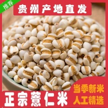 新货贵州薏仁米农家自产脱壳促销当天发货