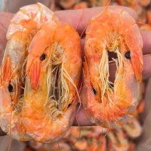 盐田烤虾，实物要好看，可上门看货，视频看货