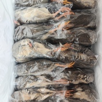 带毛飞龙带毛鹧鸪烧烤新品飞龙鹧鸪