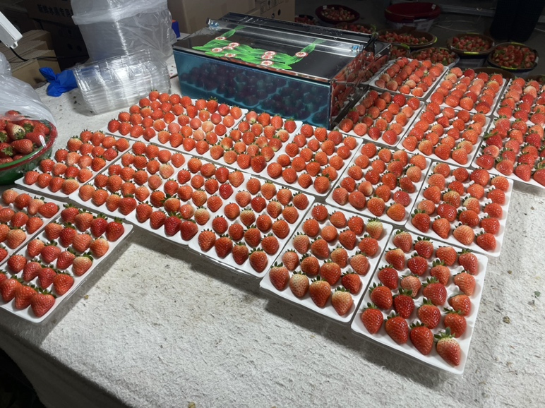 展示奶油草莓在高端超市与电商平台的陈列与销售场景 草莓市场销售场景