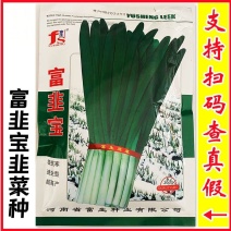 富韭宝耐寒不休眠韭菜种子高产抗病速生抗老化露天抗倒伏优质