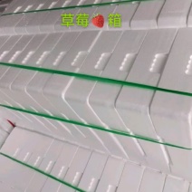 草莓箱
