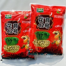 花育42花生种子大粒罗汉果手工脱壳精选高产抗病薄皮高油花