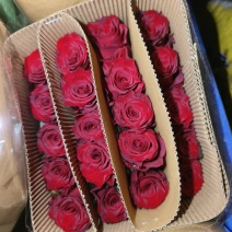 各级精品玫瑰鲜花供应