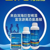 营养仓保花保果-催芽壮梢-预防早衰-提高肥效-缓解药害