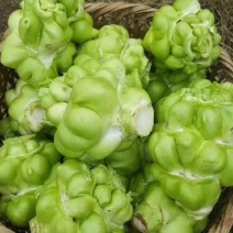 榨菜头