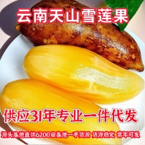专业电商一件代发全网可发多种价格品质可以选择！