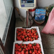 蔬菜瓜果禽蛋