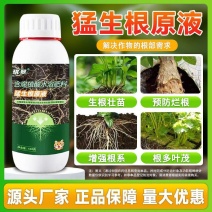 生根剂壮苗剂含氨基酸水溶生根剂促进生根剂