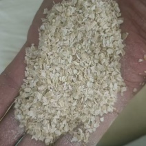 红花荞麦麸皮
