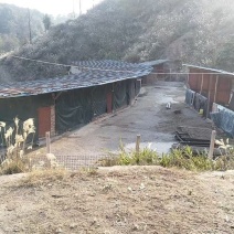 农场出租