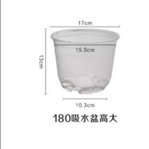 透明吸水盆
