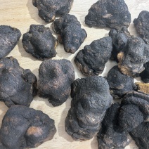 桦树茸切块，俄罗斯桦树茸，白桦茸，黑金油，黑金颗粒