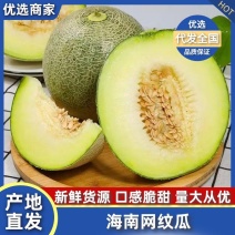 网纹瓜海南精品网纹瓜对接电商商超全国代发一手货源