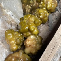 盐榨菜块