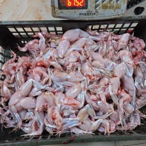 新鲜牛蛙肉去皮去内脏烧烤火锅食材批发厂家直供