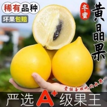 黄晶果批发代发全国发！