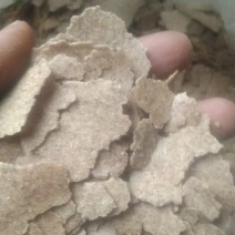 花生麸