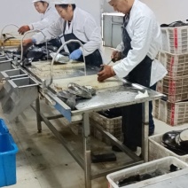 河蚌肉每天现杀生熟都有，500克/包肉脏处理干净可发电商