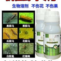 即灭~蓟马专用助溶剂不伤花不伤果安全无残留