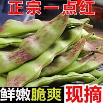 云南一点红油豆角一件代发3斤5斤支持各大平台批发