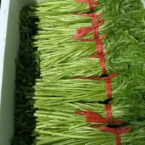 藜蒿