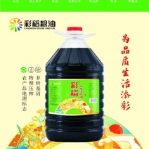菜籽油非转基因压榨原味菜籽油20L工厂直供餐饮湘菜学校