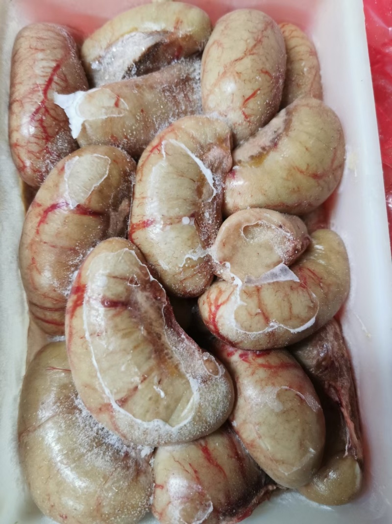 鸭腰优质鸭腰子批发鸭腰新鲜鸭腰保证质量