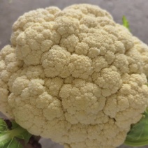 白花