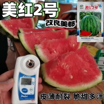 美红2号西瓜种子美都西瓜皮薄耐裂改良8424甜脆红瓤圆麒