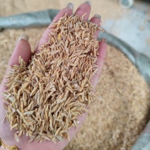 稻壳批发谷壳批发酒厂专用