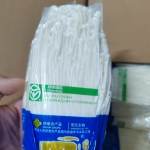 河北精品金针菇，货量充足，品质优良，价格实惠，欢迎咨询